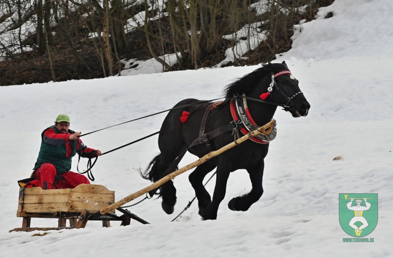 Preteky gazdovských koní 2019-460