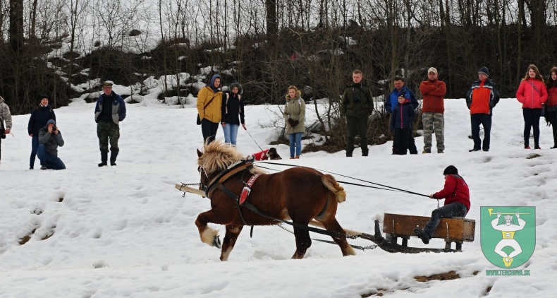 Preteky gazdovských koní 2019-473