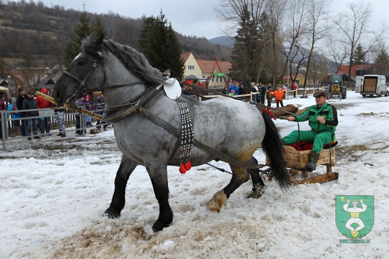 Preteky gazdovských koní 2019-150