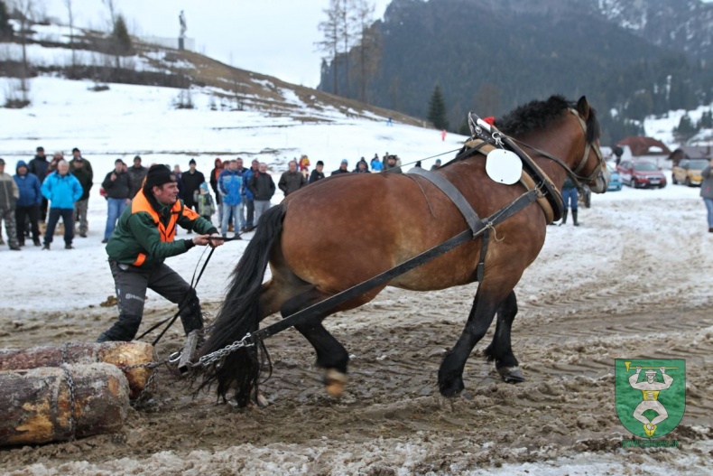 Preteky gazdovských koní 2019-361