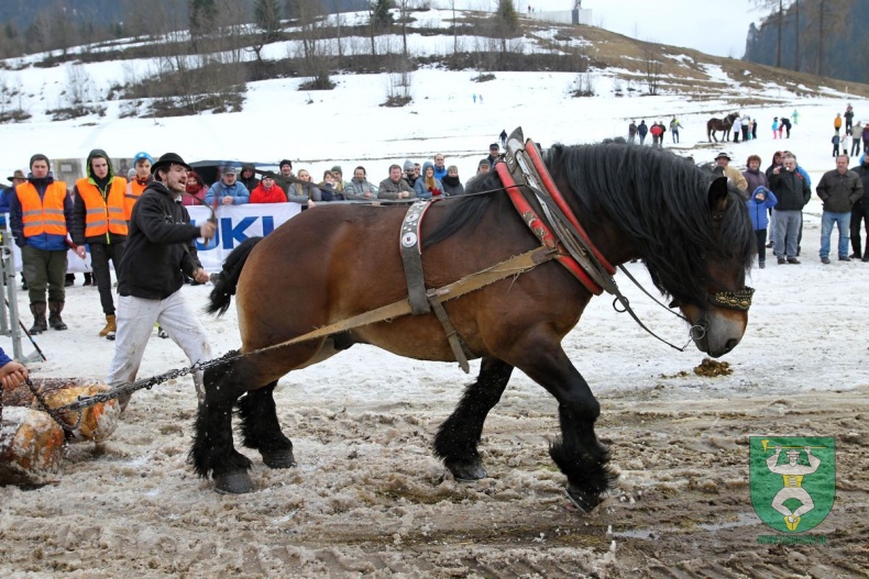 Preteky gazdovských koní 2019-344
