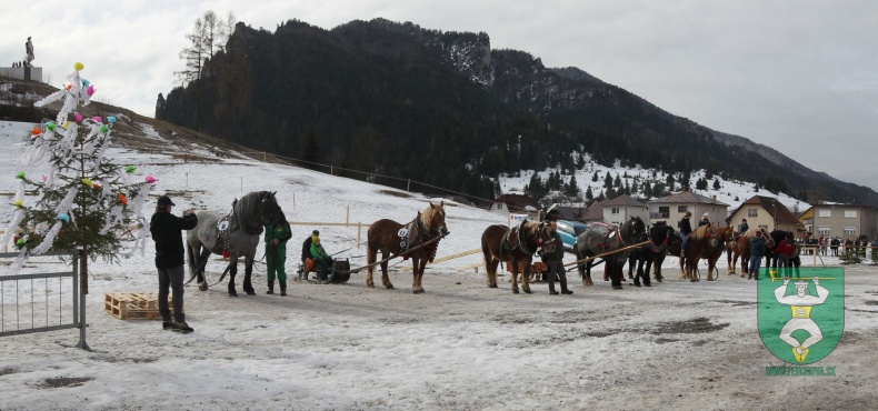 Preteky gazdovských koní 2019-16