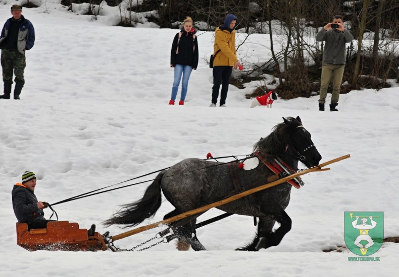 Preteky gazdovských koní 2019-454