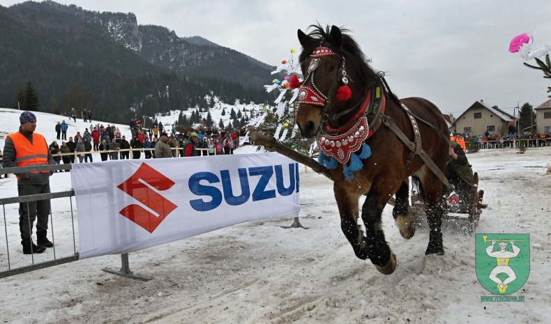 Preteky gazdovských koní 2019-152