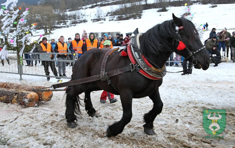 Preteky gazdovských koní 2019-332