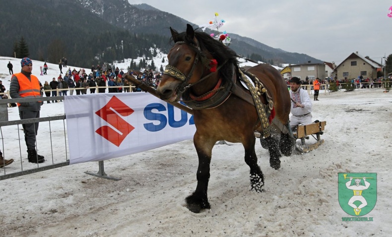 Preteky gazdovských koní 2019-149