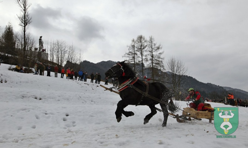 Preteky gazdovských koní 2019-81