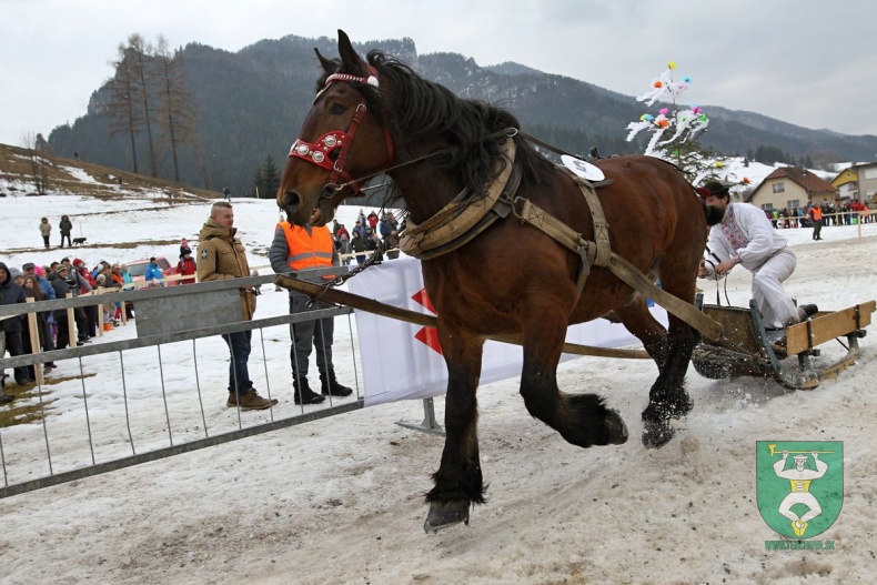 Preteky gazdovských koní 2019-145