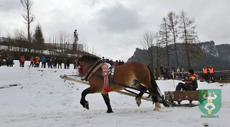 Preteky gazdovských koní 2019-98