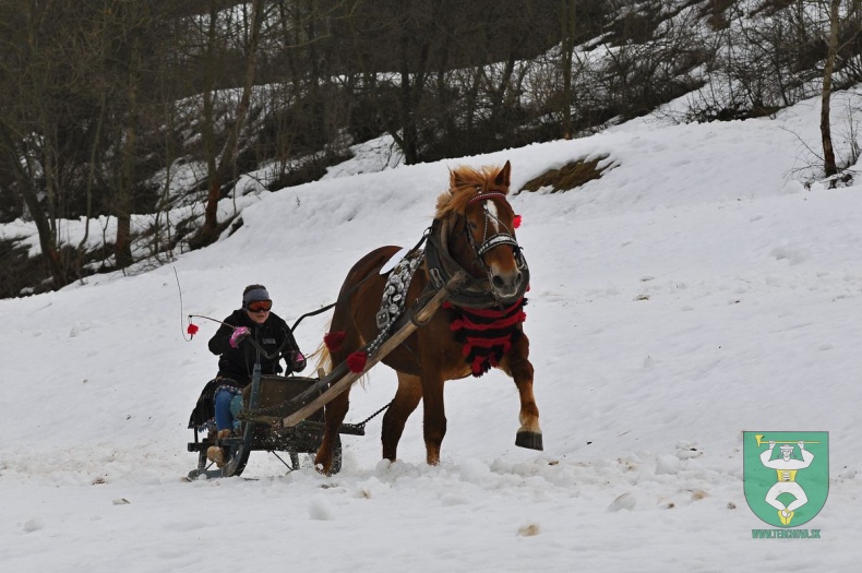 Preteky gazdovských koní 2019-496