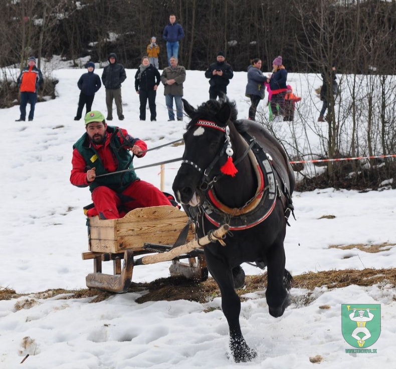 Preteky gazdovských koní 2019-462