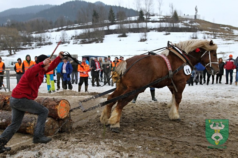 Preteky gazdovských koní 2019-395