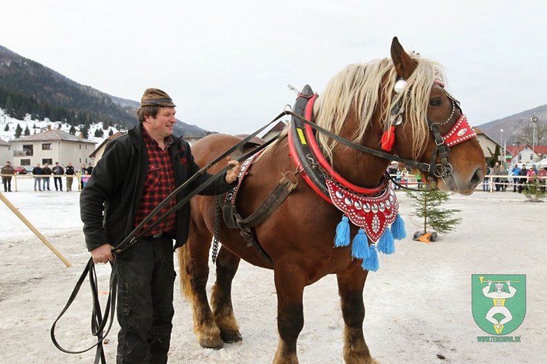 Preteky gazdovských koní 2019-26