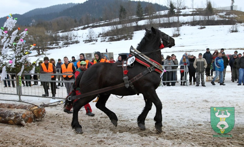 Preteky gazdovských koní 2019-352