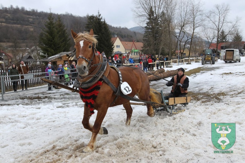 Preteky gazdovských koní 2019-157