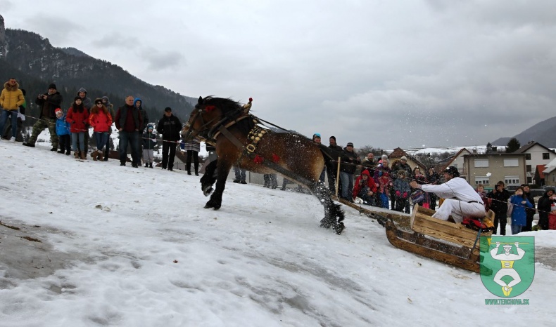 Preteky gazdovských koní 2019-55