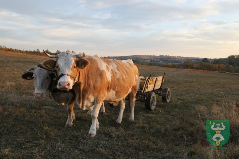 Nová Huta 13. 10. 2019-71