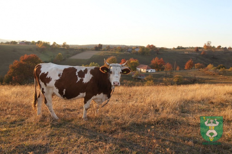 Nová Huta 13. 10. 2019-65