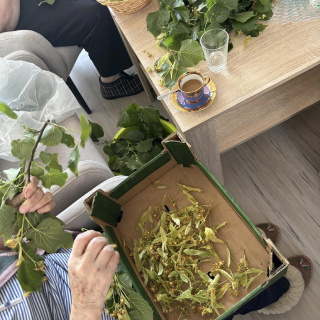 Terchova-denne-centrum-53