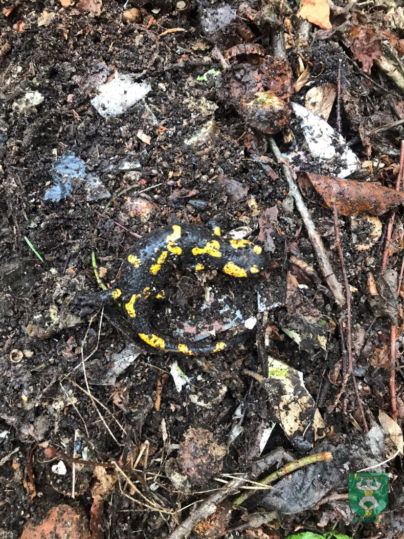 Vycistime si terchovu 2024 hasici 12