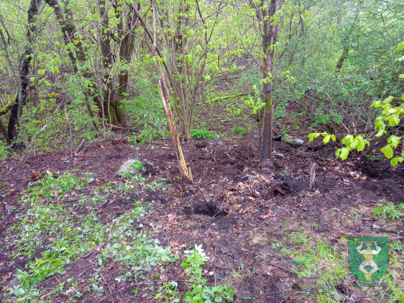 Vycistime si terchovu 2024 hasici-12