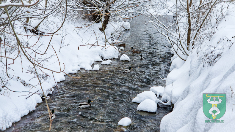 Snehova nadielka terchova 12 01 2025-50