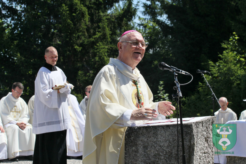 CMD 2025 sobota procesia mucha-61