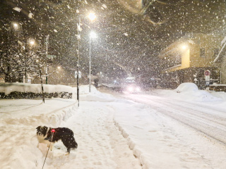 Terchova 11 01 2026 web-21