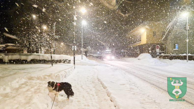 Terchova 11 01 2026 web-21