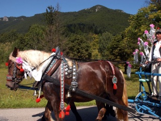 Jánošíkove dni 2008 53