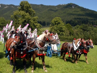 Jánošíkove dni 2008 75