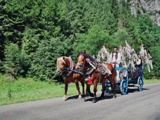 Jánošíkove dni 2008 74