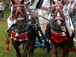 Jánošíkove dni 2008 109