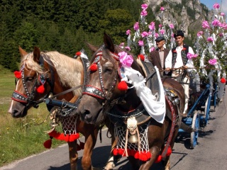 Jánošíkove dni 2008 33