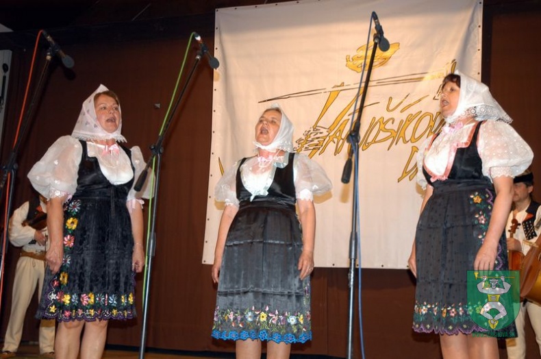 Jánošíkove dni 2008 142