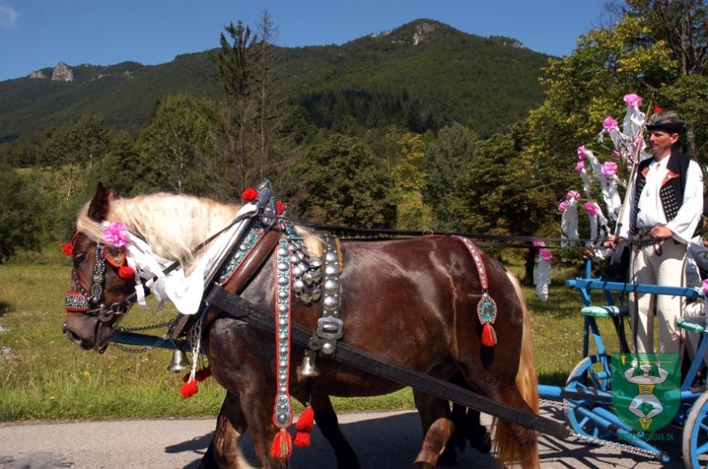 Jánošíkove dni 2008 53