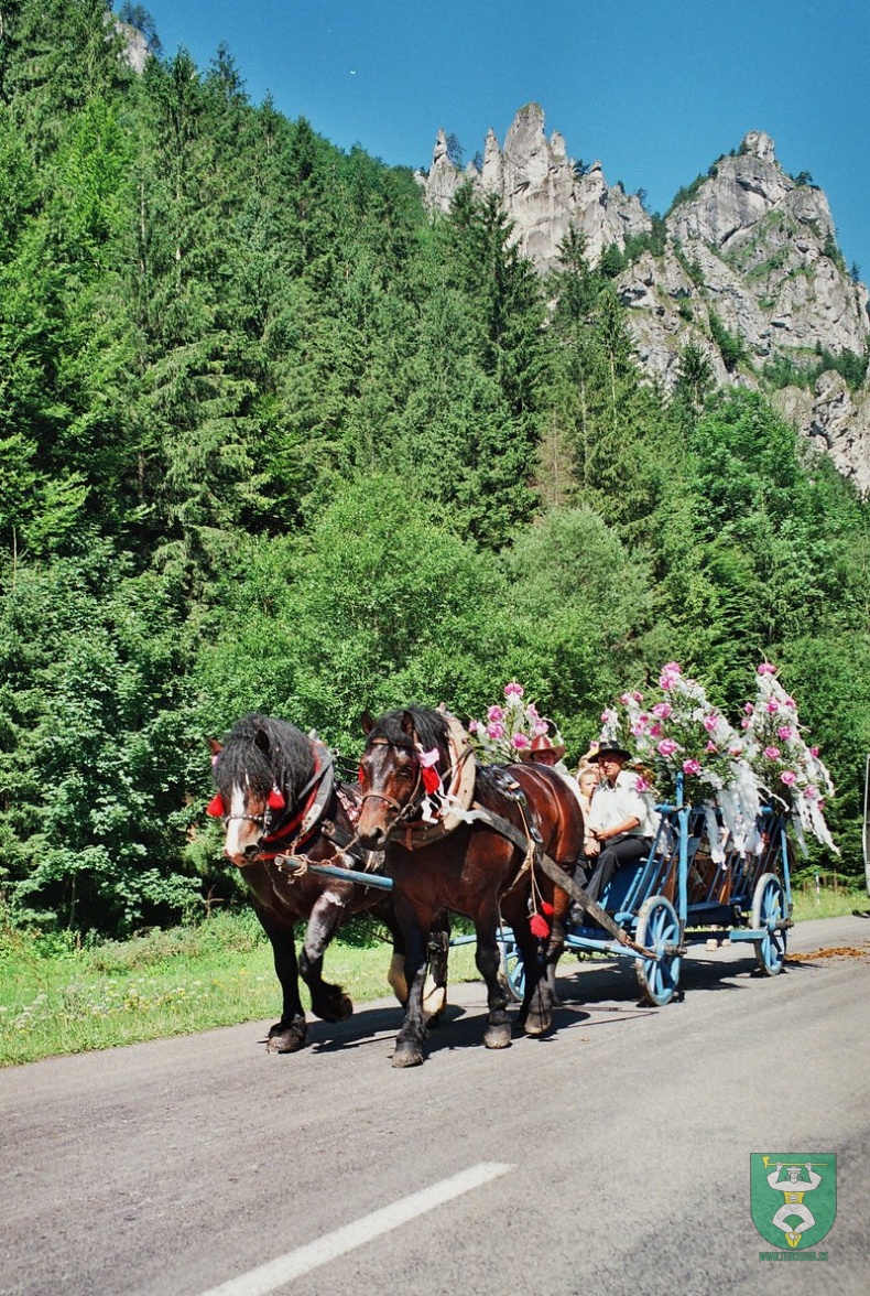 Jánošíkove dni 2008 131