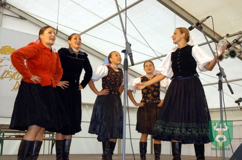 Jánošíkove dni 2008 179