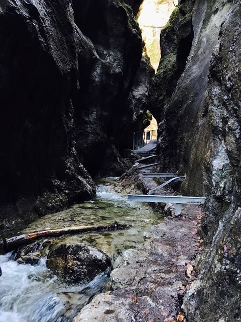 17522851 1002097569891775 2769300548120278301 n