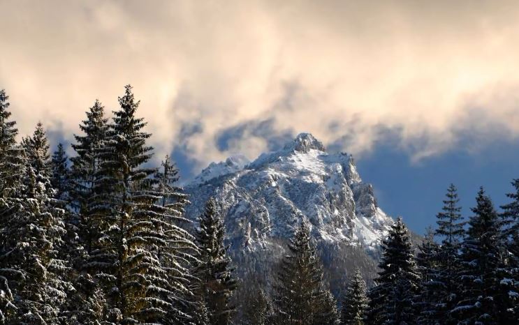 rodny-moj-kraj-mucha