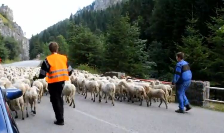 terchovsky-salas-mucha